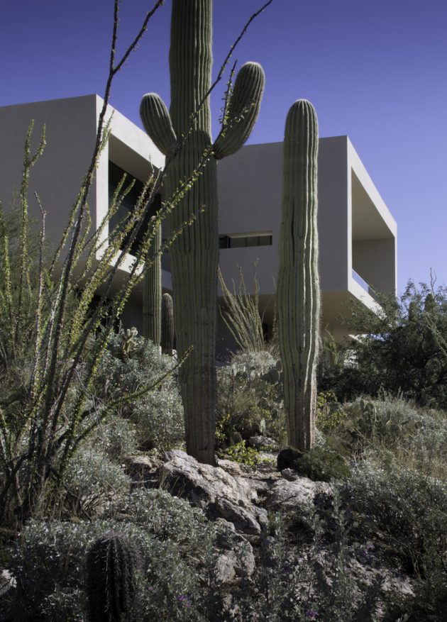 House in Sabino Springs by Kevin B Howard Architects in Tucson, Arizona