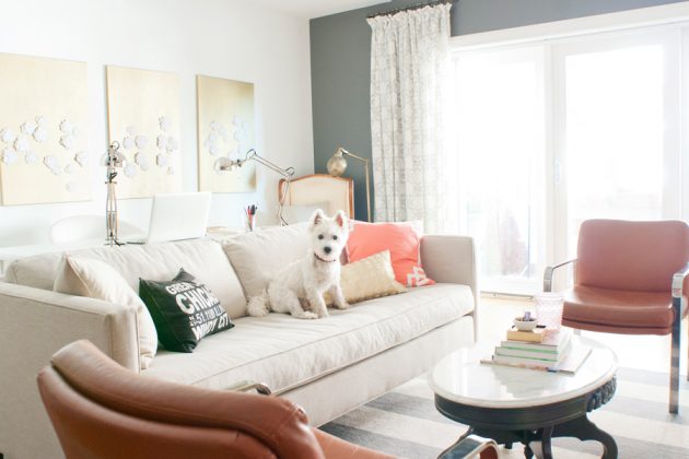 10 Pet-Friendly Designs for Your New Home
