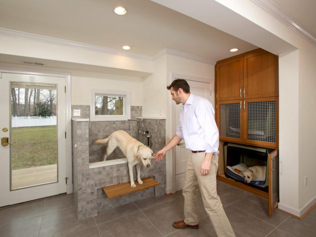 dog friendly home design