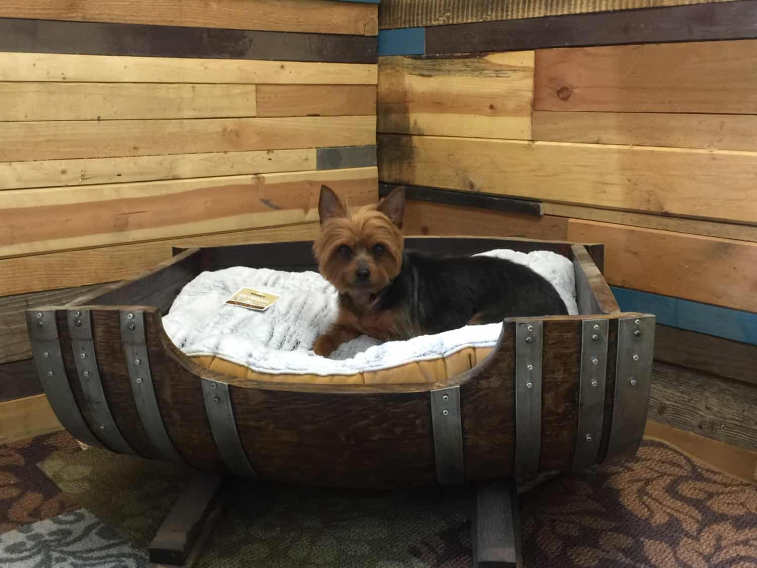 Personalized Large Wine Barrel Dog Bed Personalized Large Wine Barrel Dog Bed