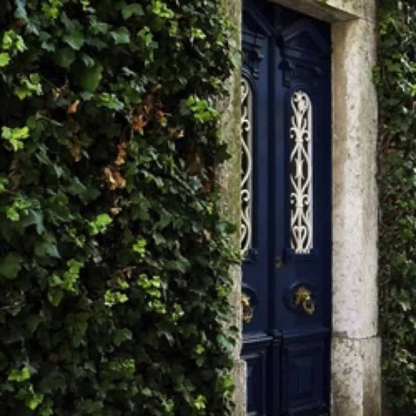 Stylish Exterior Knob 5