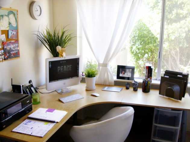 Simple Ways To Revive Your Work Space With Plants