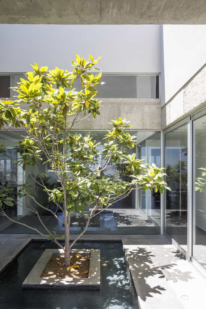 hdj89-residence-by-t38-studio-in-tijuana-mexico-12