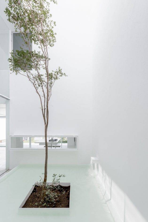 v-house-by-abraham-cota-paredes-arquitectos-in-guadalajara-mexico-8