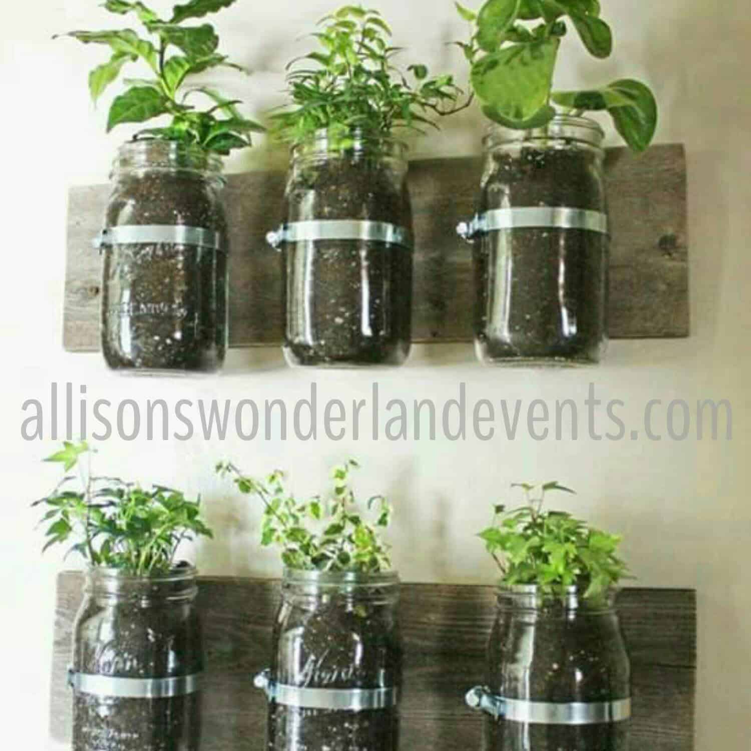 Mason Jar Herb Garden Mason Jar Herb Garden
