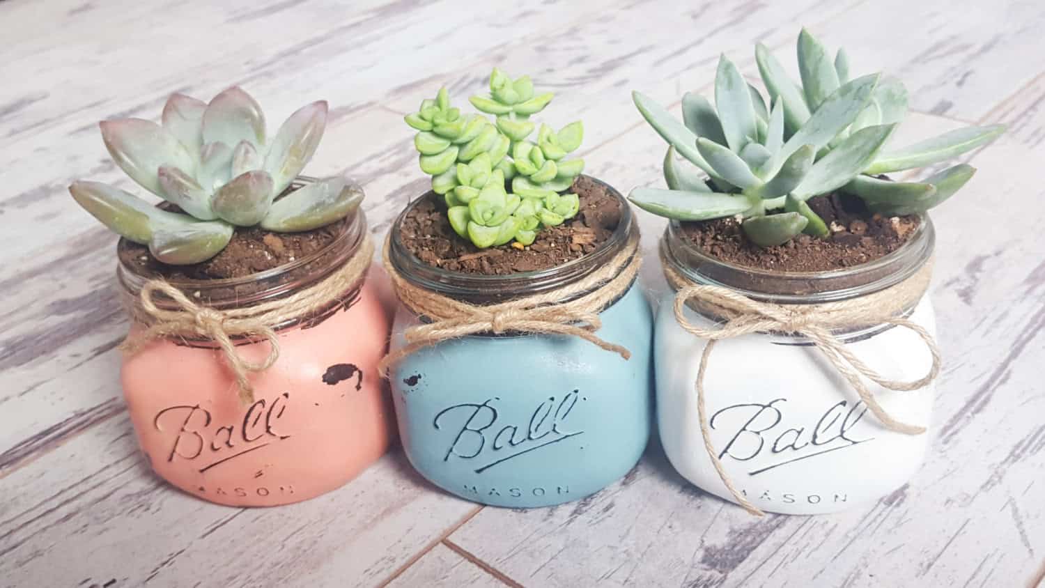 Mason Jar Succulent Planter Mason Jar Succulent Planter