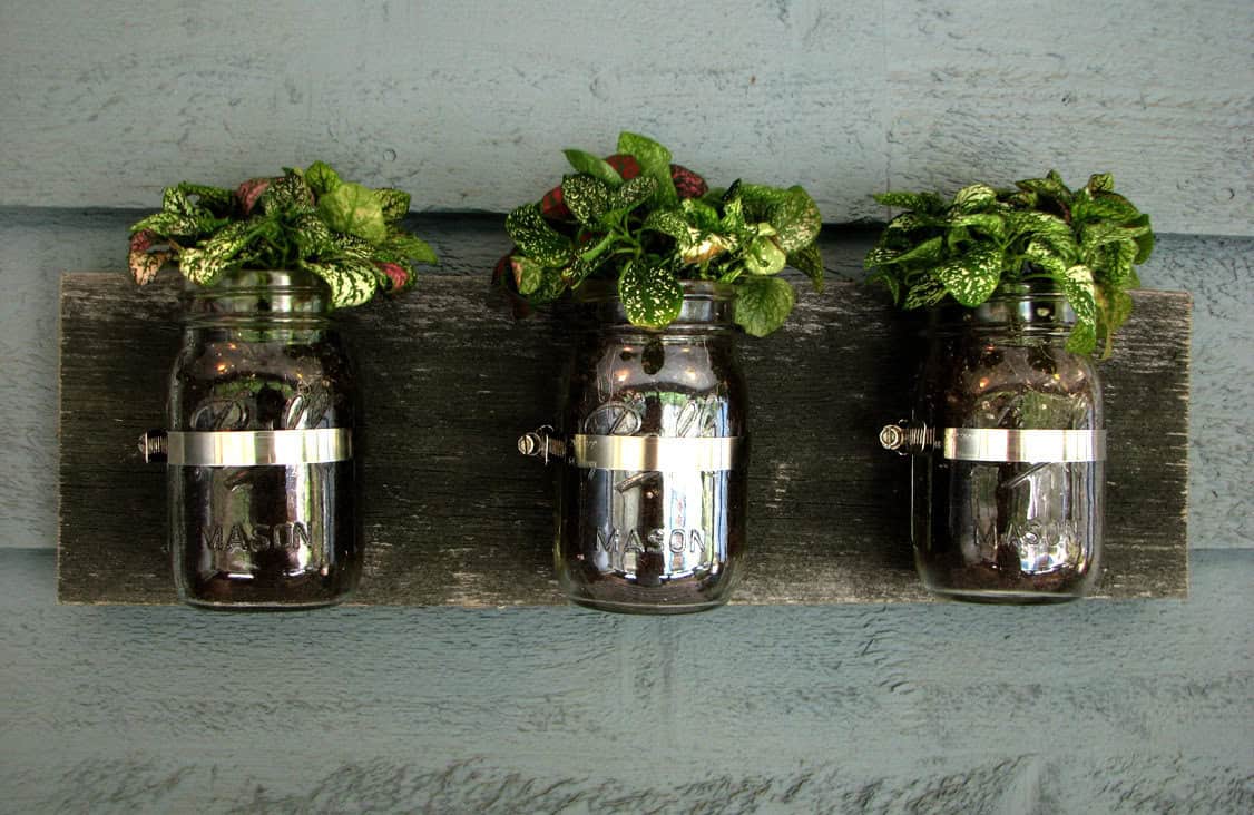 Mason Jar Wall Hanging Planter Mason Jar Wall Hanging Planter