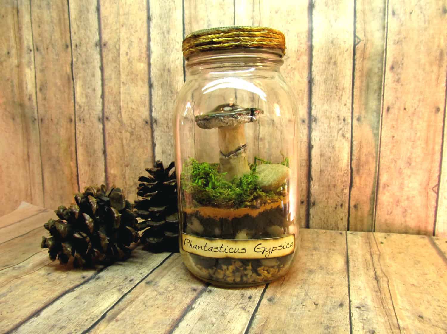 Mason Jar Terrarium Mason Jar Terrarium