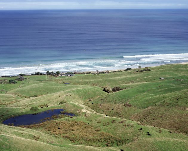 Sugar Gum House by Rob Kennon Architects in Apollo Bay, Australia