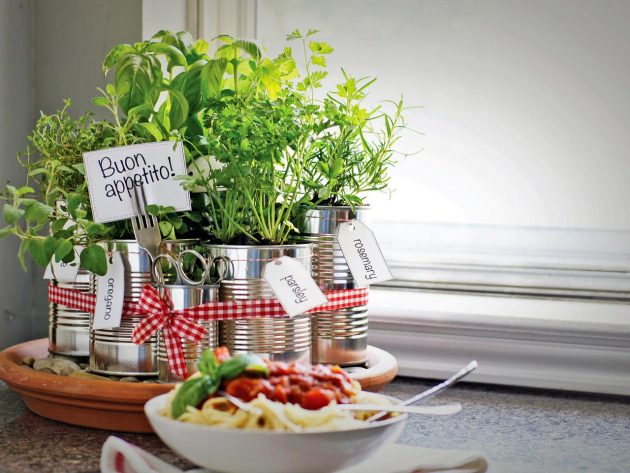 DIY Herbs Garden Is Always A Great Idea For Your Kitchen