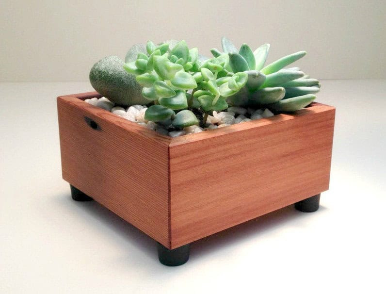 Succulent Planter Box Succulent Planter Box