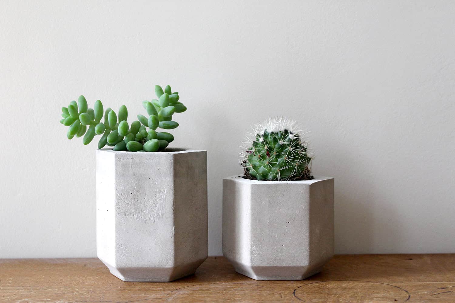 Hexagon Cement Planters Hexagon Cement Planters