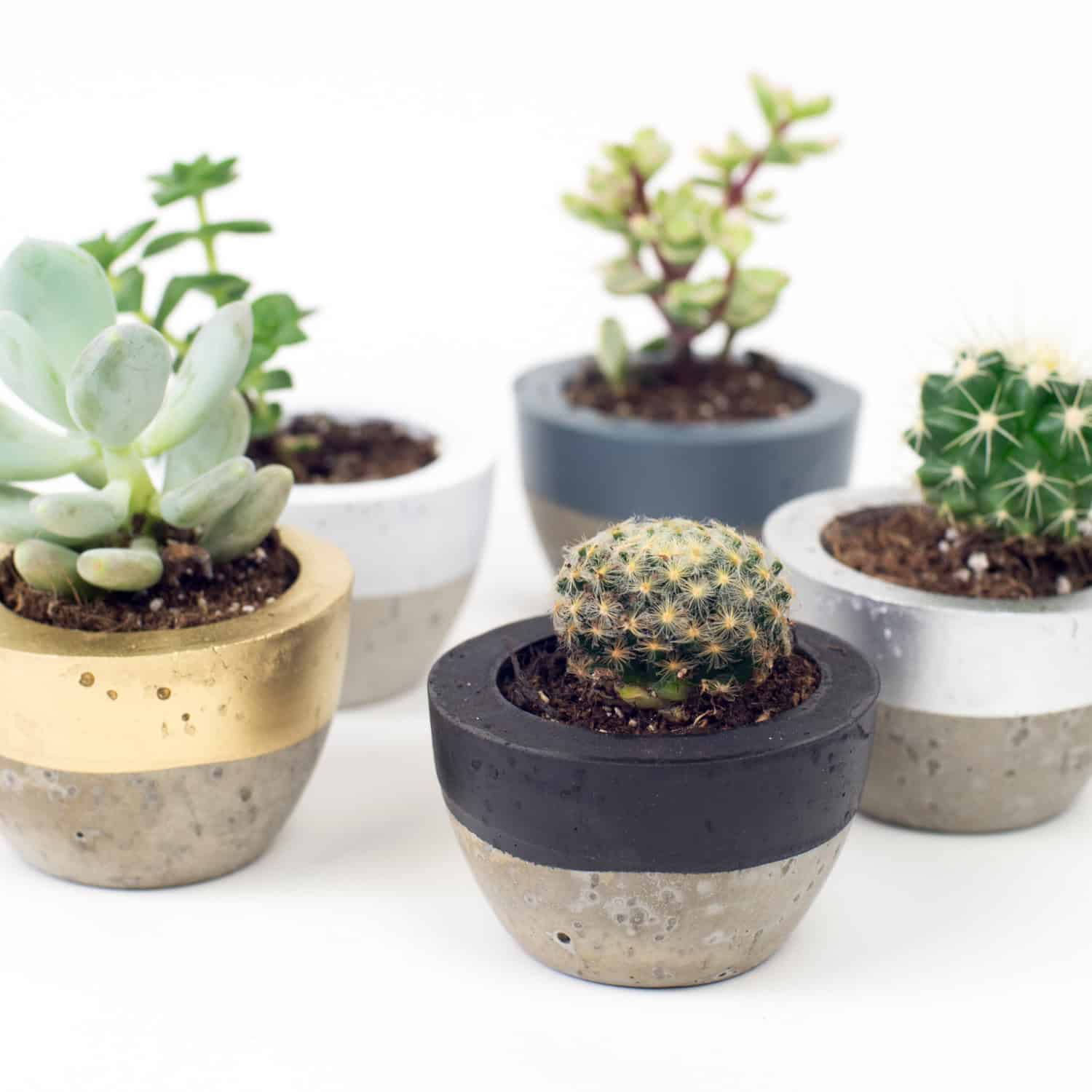 Mini Colour Block Concrete Pot Mini Colour Block Concrete Pot