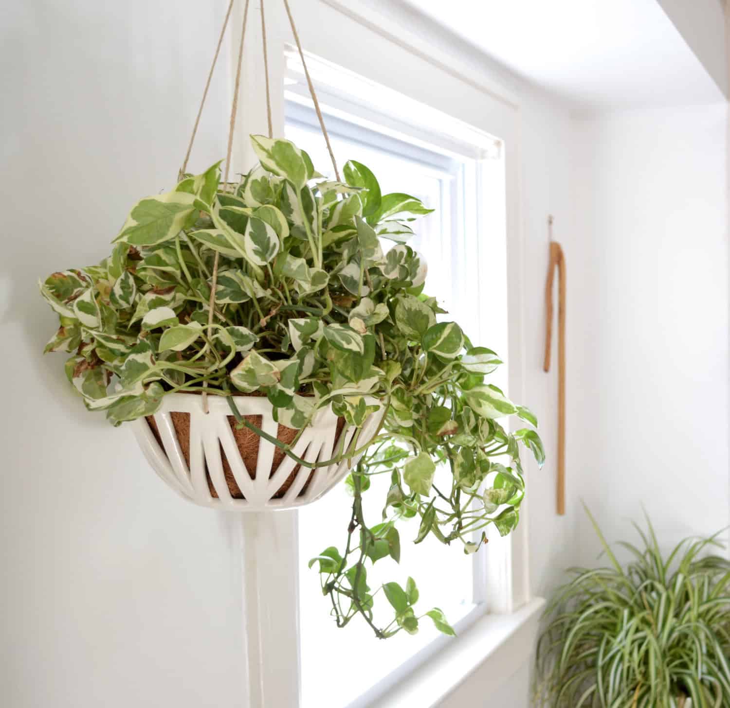 Hanging Planter Hanging Planter