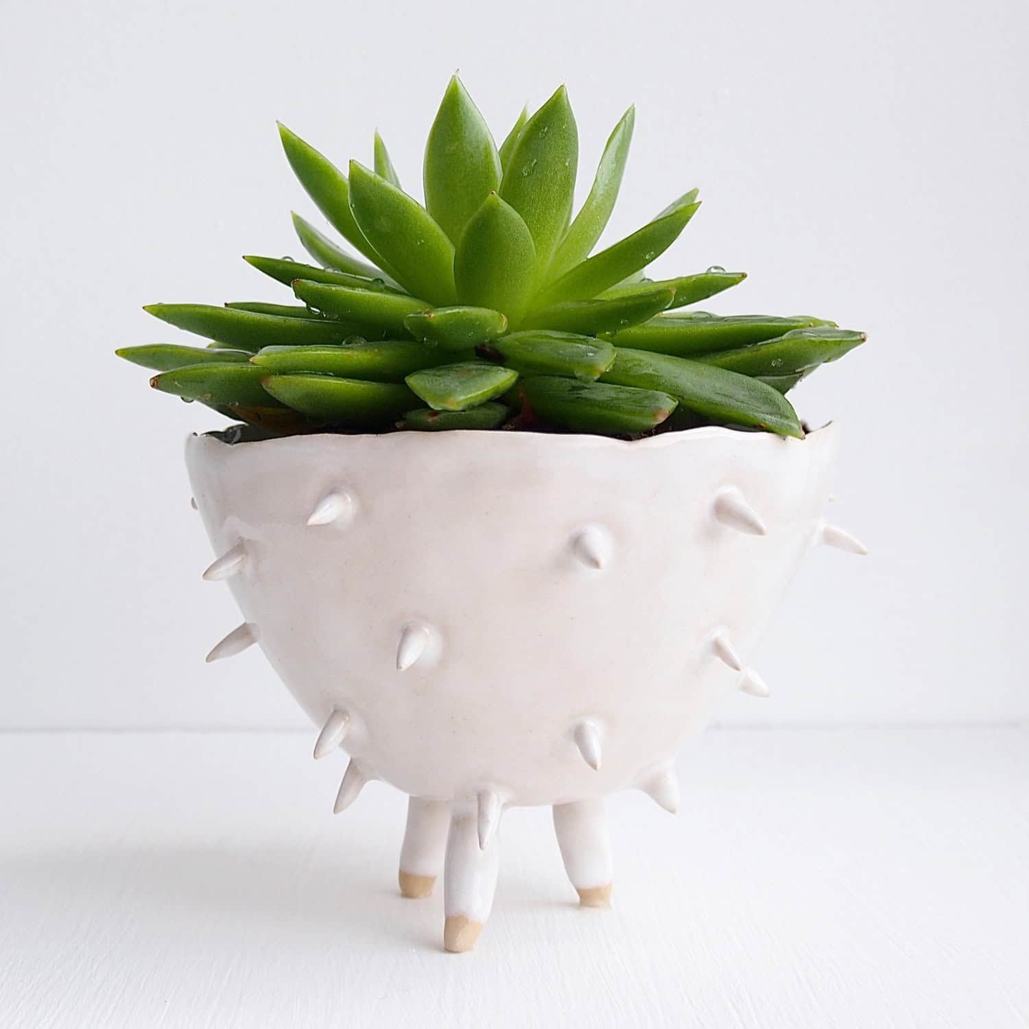 Handmade white ceramic spiky cactus planter Handmade white ceramic spiky cactus planter