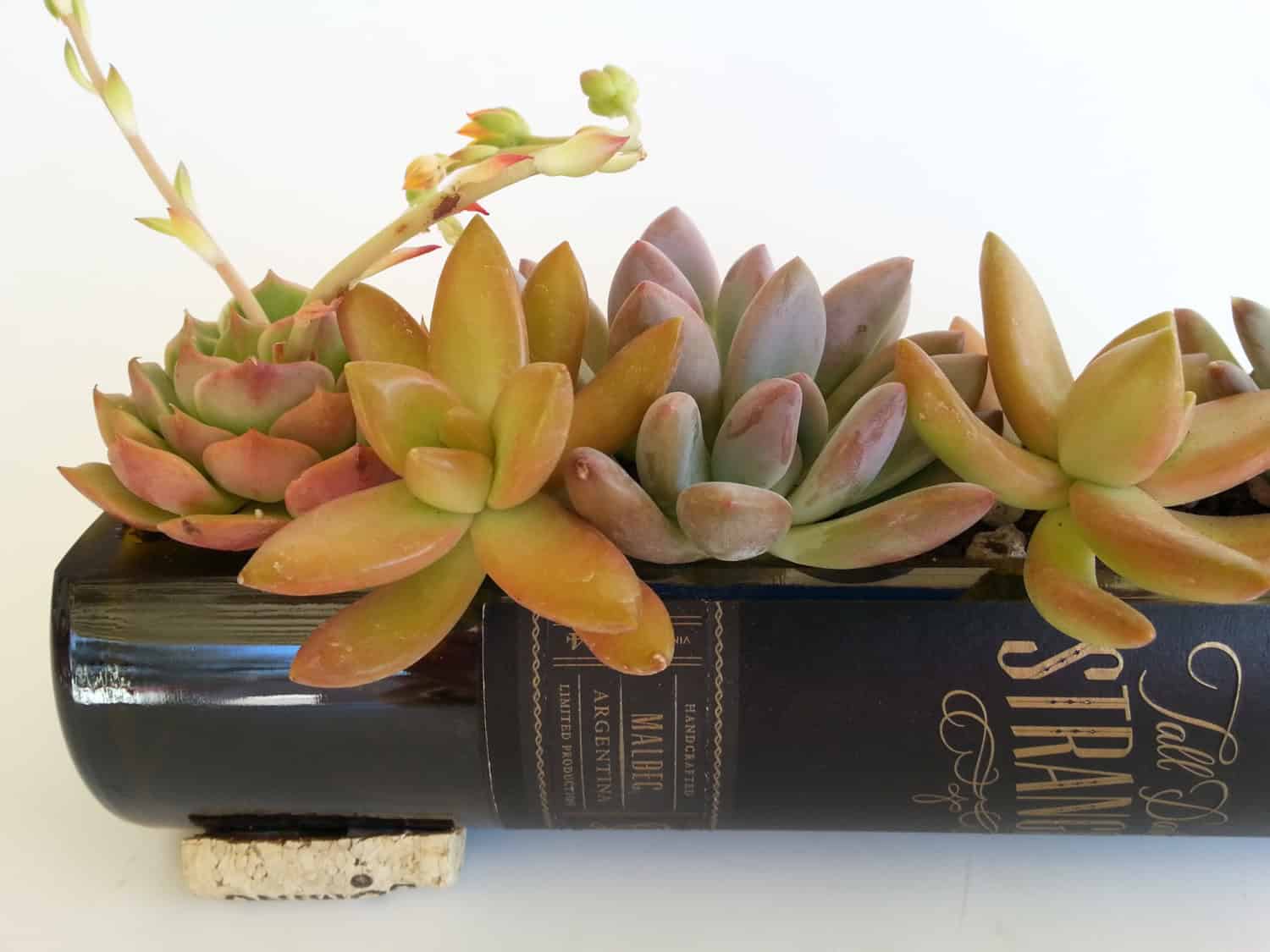 Wine Bottle Planter Wine Bottle Planter