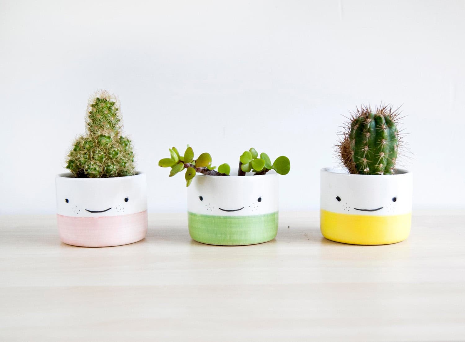 Ceramic small plant pot Ceramic small plant pot