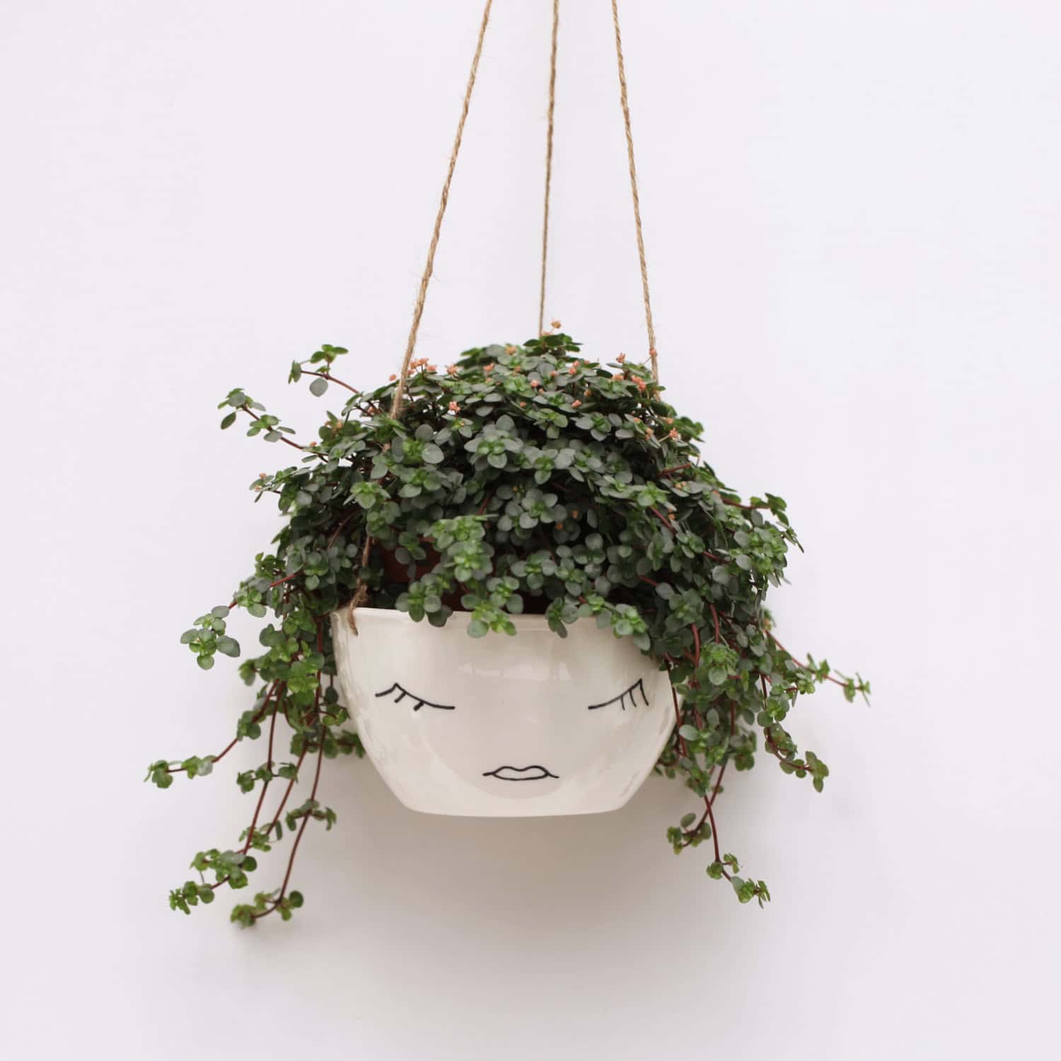 White Ceramic Hanging Planter White Ceramic Hanging Planter