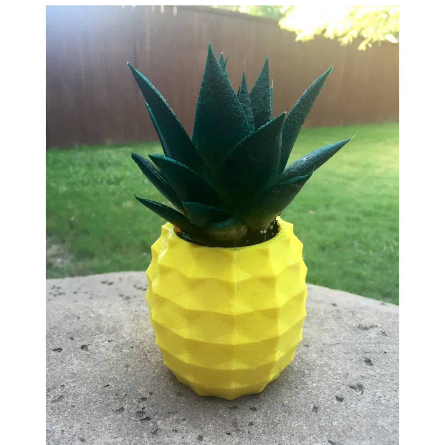 3D printed Pineapple Succulent Planter 3D printed Pineapple Succulent Planter