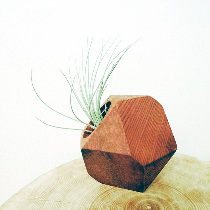 Geometric wood planter Geometric wood planter