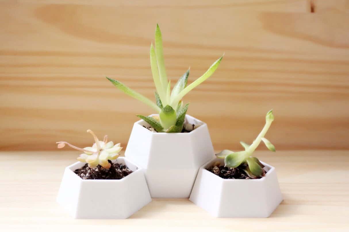 3D Printed Geometric Planter 3D Printed Geometric Planter