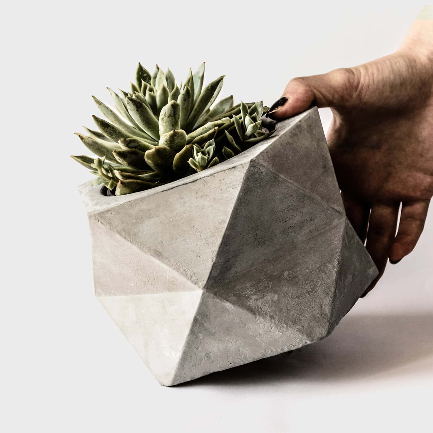 Large Concrete Geometric Planter for Succulents Large Concrete Geometric Planter for Succulents