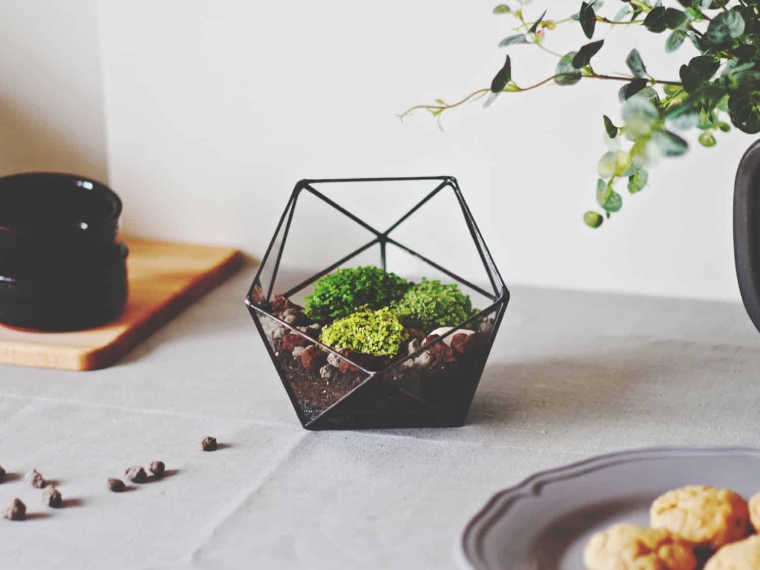Geometric Glass Terrarium Container Geometric Glass Terrarium Container