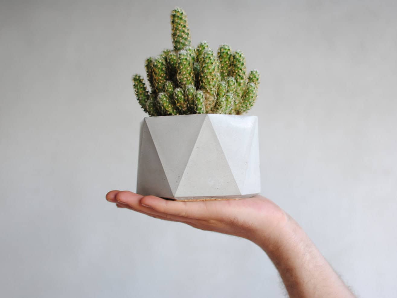 Concrete geometric planter Concrete geometric planter
