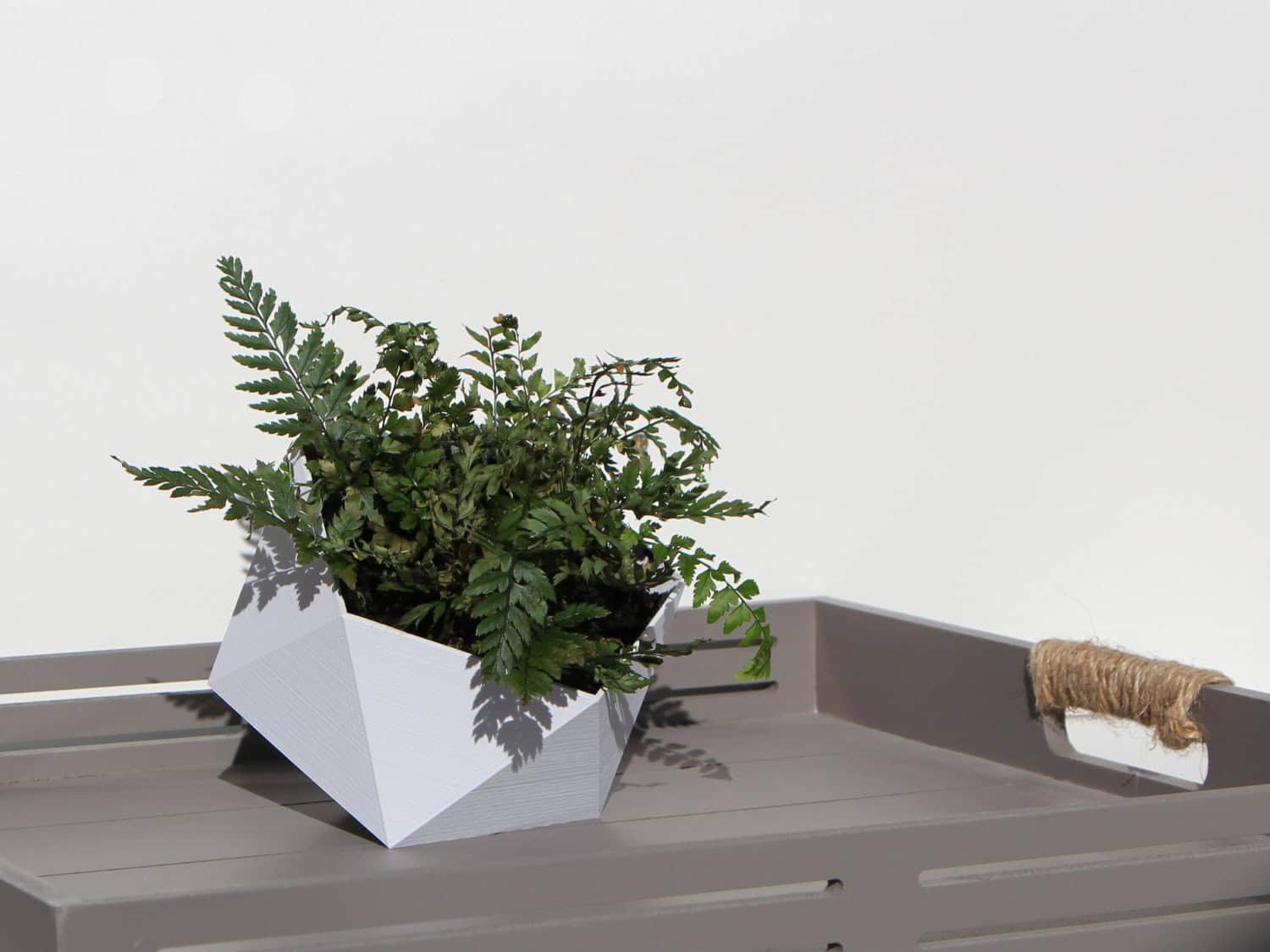 16 Stunning Geometric Planter Designs For The Perfectionist in You