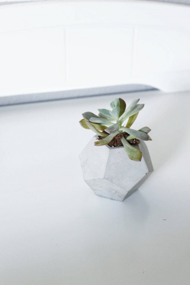 16 Stunning Geometric Planter Designs For The Perfectionist in You