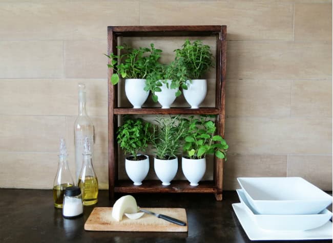 DIY Herbs Garden Is Always A Great Idea For Your Kitchen DIY Herbs Garden Is Always A Great Idea For Your Kitchen