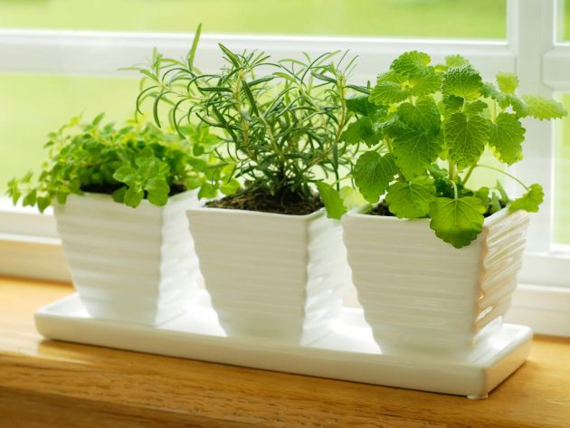DIY Herbs Garden Is Always A Great Idea For Your Kitchen