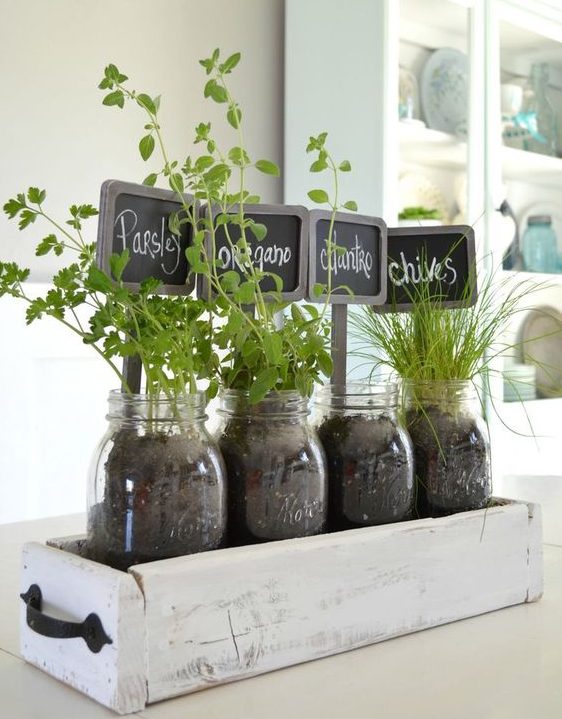 DIY Herbs Garden Is Always A Great Idea For Your Kitchen
