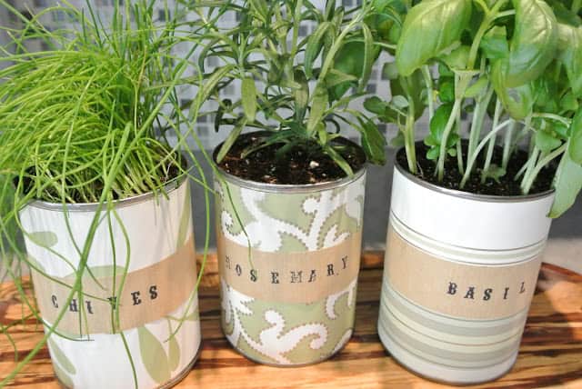DIY Herbs Garden Is Always A Great Idea For Your Kitchen DIY Herbs Garden Is Always A Great Idea For Your Kitchen