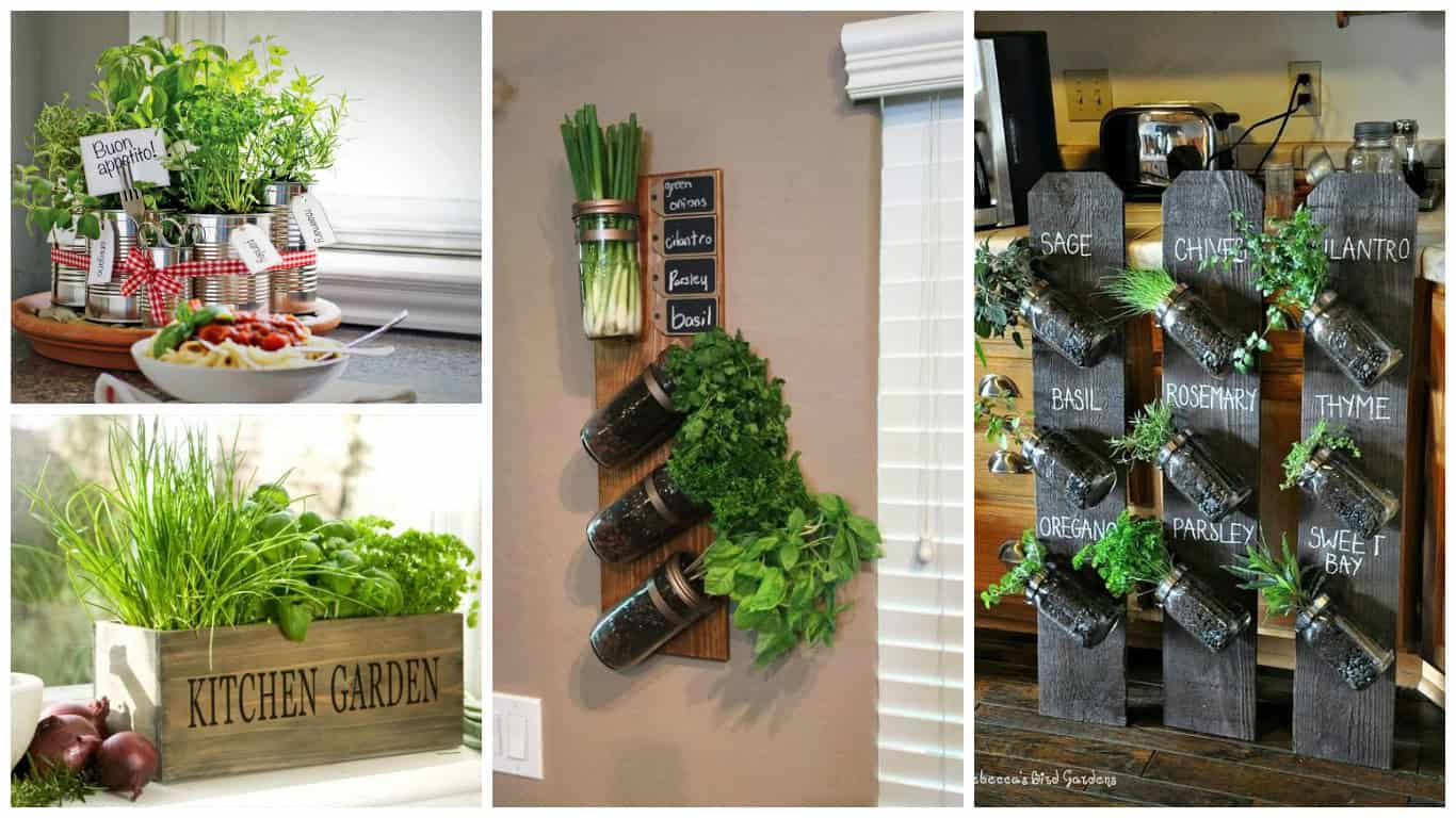 DIY Herbs Garden Is Always A Great Idea For Your Kitchen