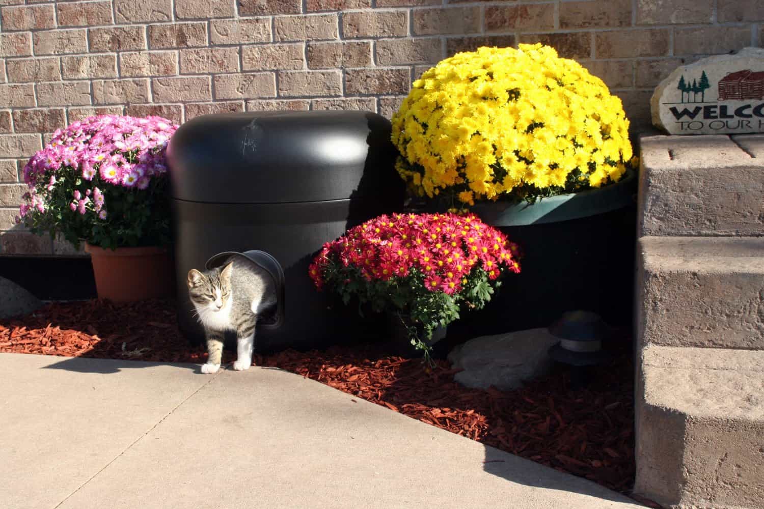 16 Multifunctional Pet Beds For Every Modern Home 16 Multifunctional Pet Beds For Every Modern Home