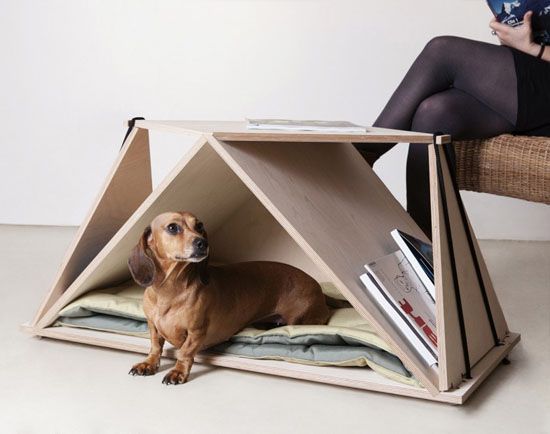 16 Multifunctional Pet Beds For Every Modern Home
