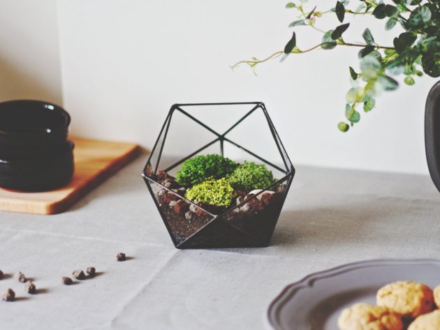 15 Captivating Terrarium Designs To Decorate Your Home In An Alternative Fashion
