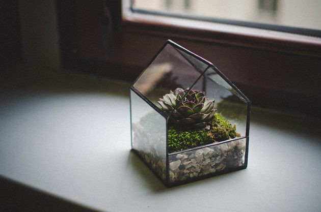 15 Captivating Terrarium Designs To Decorate Your Home In An Alternative Fashion