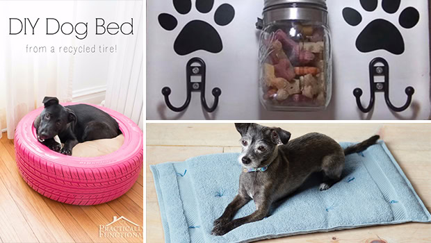 15 Crazy Dog Hacks You Really Need To Know