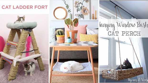 15 Smart DIY Ways To Keep Your Cat Entertained In Your Home