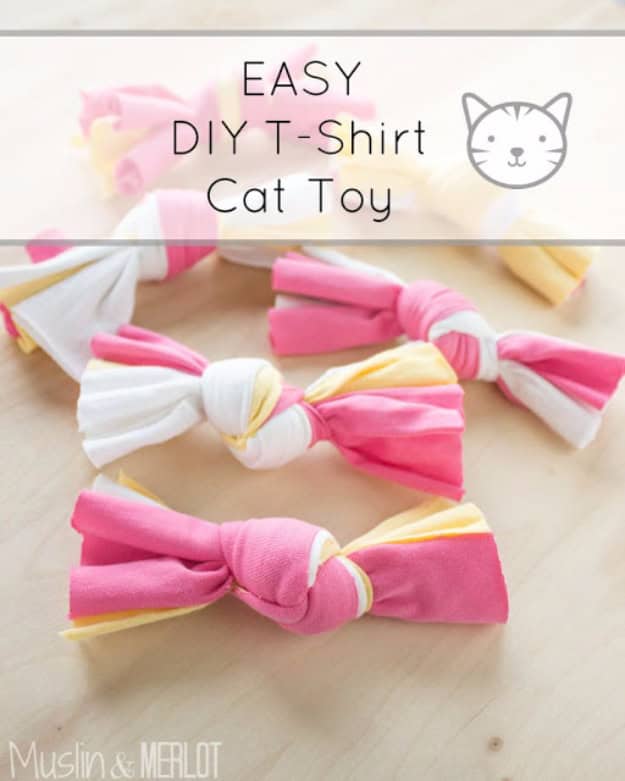 toys to keep your cat entertained