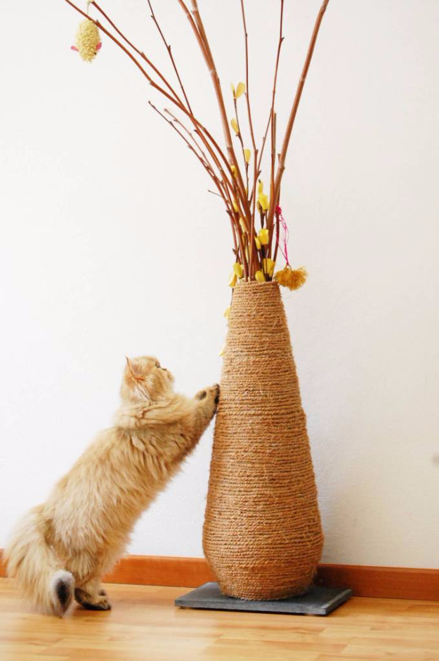 15 Smart DIY Ways To Keep Your Cat Entertained In Your Home