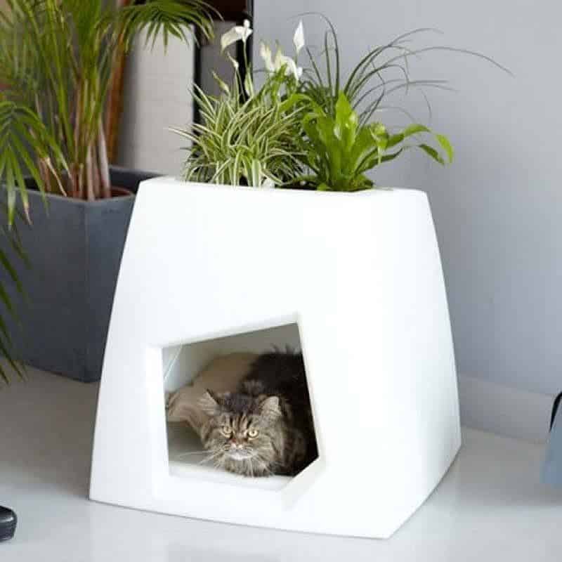 16 Multifunctional Pet Beds For Every Modern Home 16 Multifunctional Pet Beds For Every Modern Home