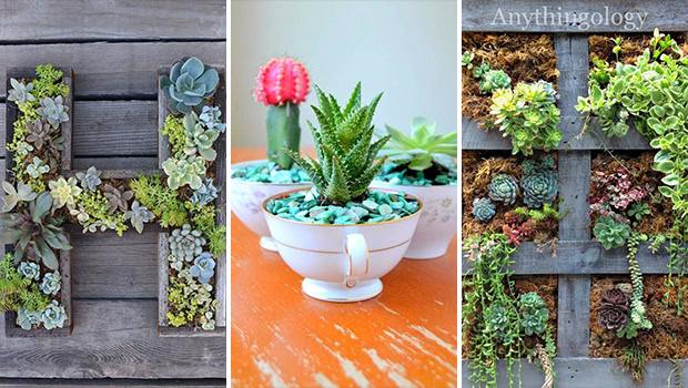 17 Amazing DIY Succulent Crafts That Will Beautify Your Home