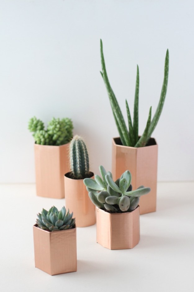 17 Amazing DIY Succulent Crafts That Will Beautify Your Home