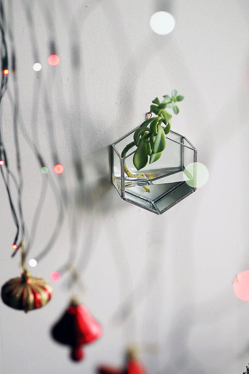 Hexagon Hanging Vase Hexagon Hanging Vase
