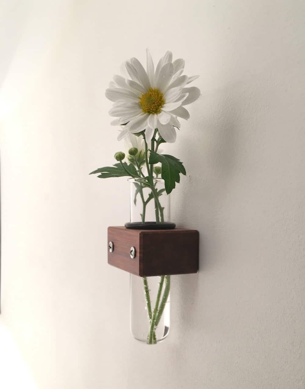 Test Tube Vase Test Tube Vase