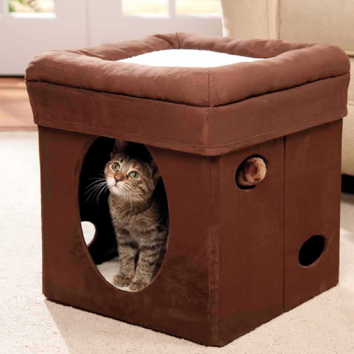 16 Multifunctional Pet Beds For Every Modern Home 16 Multifunctional Pet Beds For Every Modern Home