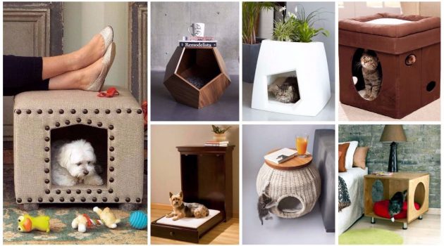 16 Multifunctional Pet Beds For Every Modern Home